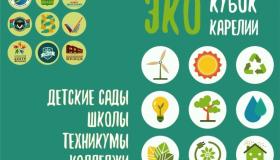 Экологическмй проект "Эко-Кубок"