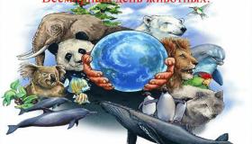 Мероприятия в  детском саду к Всемирному дню защиты животных