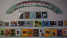 Выставка "Наши пушистые питомцы".